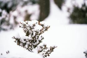 雪地里漫步的情侣